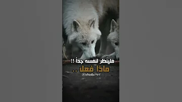 لم اتغير علی أحد 