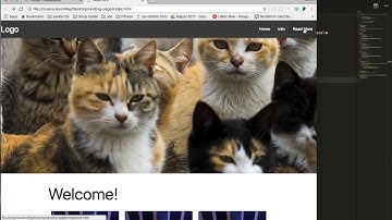 10 BeachCoders™ page clean up