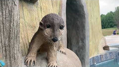 Preview the EPIC - AMAZING! Lazy River Acres Pool - With Water! {Construction Cam}