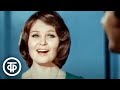 Лев Лещенко и Алла Абдалова Старый клен из фильма Девчата 1976 Лев Лещенко и Алла Абдалова Старый клен из фильма Девчата 1976