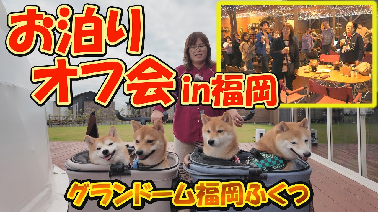 The smiles of the viewers made it a day filled with joy for the