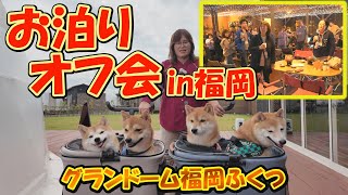 The smiles of the viewers made it a day filled with joy for the