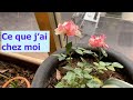 Ce que j'ai chez moi