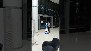 Mitri in an office environment