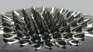 Experiment How To Make A Ferrofluid Magnetic Fluid