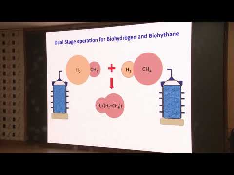 Enabling Low-Carbon Biohydrogen Production through Biorefinery