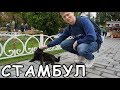 Едем в Стамбул (Часть 2). Голубая мечеть, покупки Гранд Базара и коты в Стамбуле.