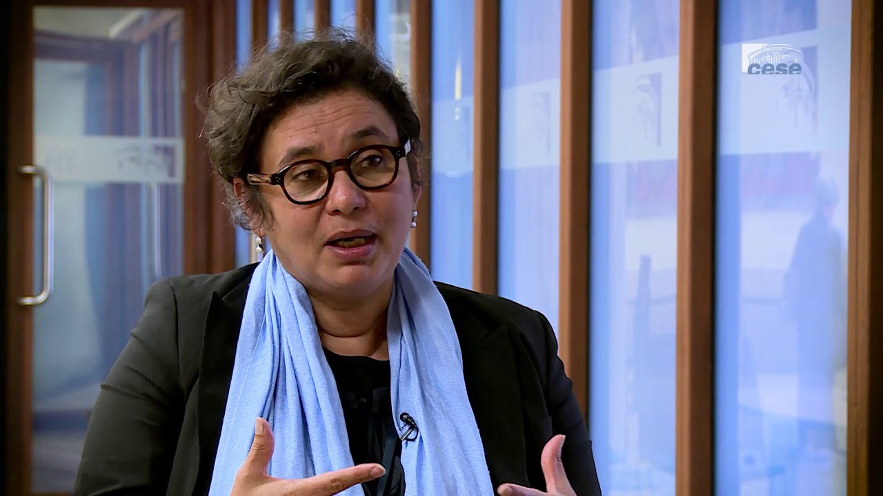 Questions à Liliana MOYANO (FCPE) - santé scolaire - cese - YouTube