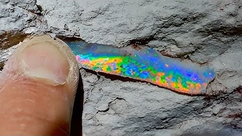 A.I. vs REALITY, what would you rather see?? 