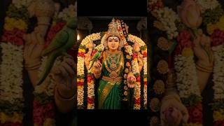 kondai mudi alangarithu tamil song #shortsfeed #shorts #meenakshiamman #chithiraifestival #tamil