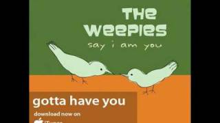 Video thumbnail of "The Weepies - Gotta Have You (Audio)"