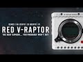 RED V-Raptor ST - An incredible camera... You probably won't buy. | DSMC3 | 8K