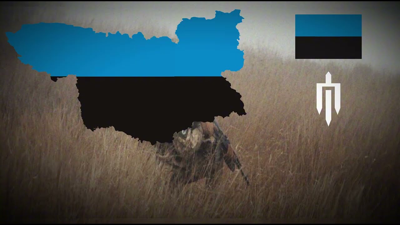 "Любо, Братцы, Любо" - песня/гимн Малоросской Освободительной Армии(МОА)