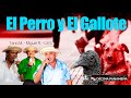 Tano mojica vs lily samaniego vs miguelito rivera n 65  el perro y el gallote