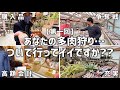 視聴者様と多肉狩りしたら楽し過ぎました【新企画】あなたの多肉狩りついて行ってイイですか??