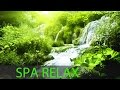 Relaxing Spa Music, Meditation, Healing, Stress Relief, Sleep Music, Yoga, Sleep, Zen, Spa, ☯272