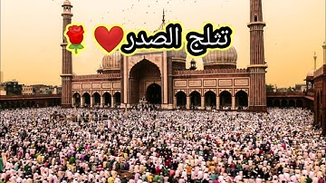 تلاوه تثلج الصدر وتريح العصاب وتجلي الهم❤️🌹للقاري:هزاع البلوشي❤️