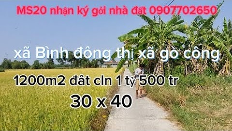 xã Bình đông thị xã gò công 1200m2 cln 30m x 40 m 1 tỷ500 tr