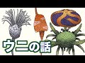 棘皮動物の話　ウニの話　地球の歴史　その１３３