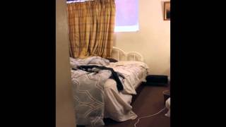 Celebrity Delphi Properties: "1713 Commonwealth Avenue, Apt. #1B, Brighton, MA" Profile