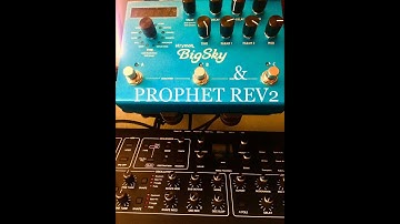 PROPHET REV2 + SRYMON BIG SKY  IMPRO.