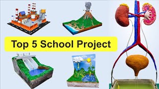 Top 5 School Project