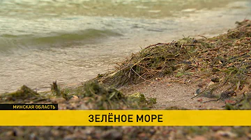 Можно ли купаться в Минском море
