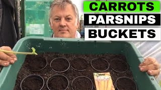How to Grow Carrots and Parsnips in Buckets | Totes | Container Gardening | Gardening for Beginners
