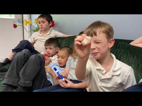Revolutionizing Education: The Latin Program at Weston Classical School