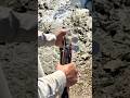 Russian Over/Under Ejector shotgun #hunting #review #shorts