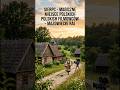 Sierpc - Magiczne miejsce polskich filmowców -  Mazowiecki raj #podróże #wydarzeniawarszawa