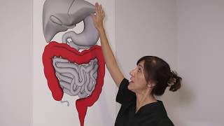 MªJose Gimeno : HIDROTERAPIA DE COLON