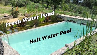Salt Water Pool - Inside A Freshwater Pond ! Can It Be Done ?