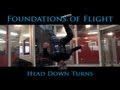 Axis foundations of flight  head down turns