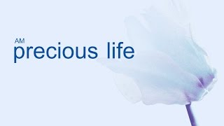 AM - Precious Life [Official Lyrics Video]