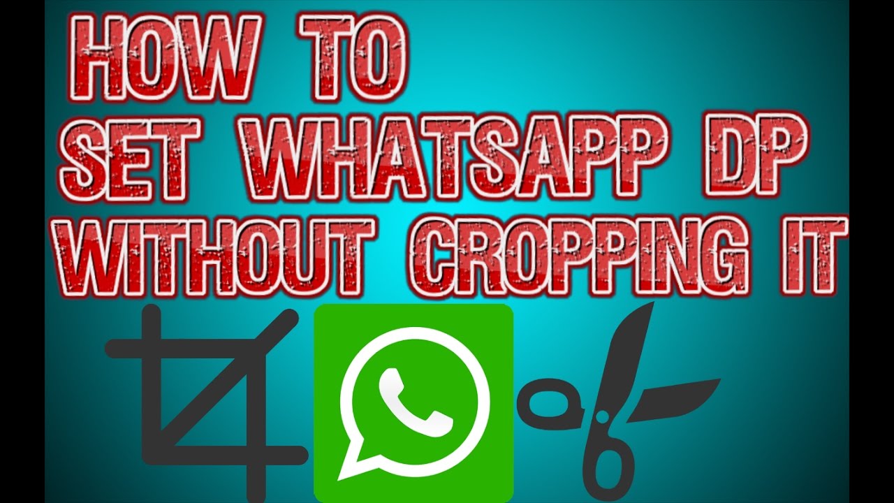 How To Set Any Whatsapp DP Without Cropping It YouTube