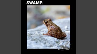 ASMR Amazing Frogs sound in Nature helps your baby to get good sleep screenshot 2