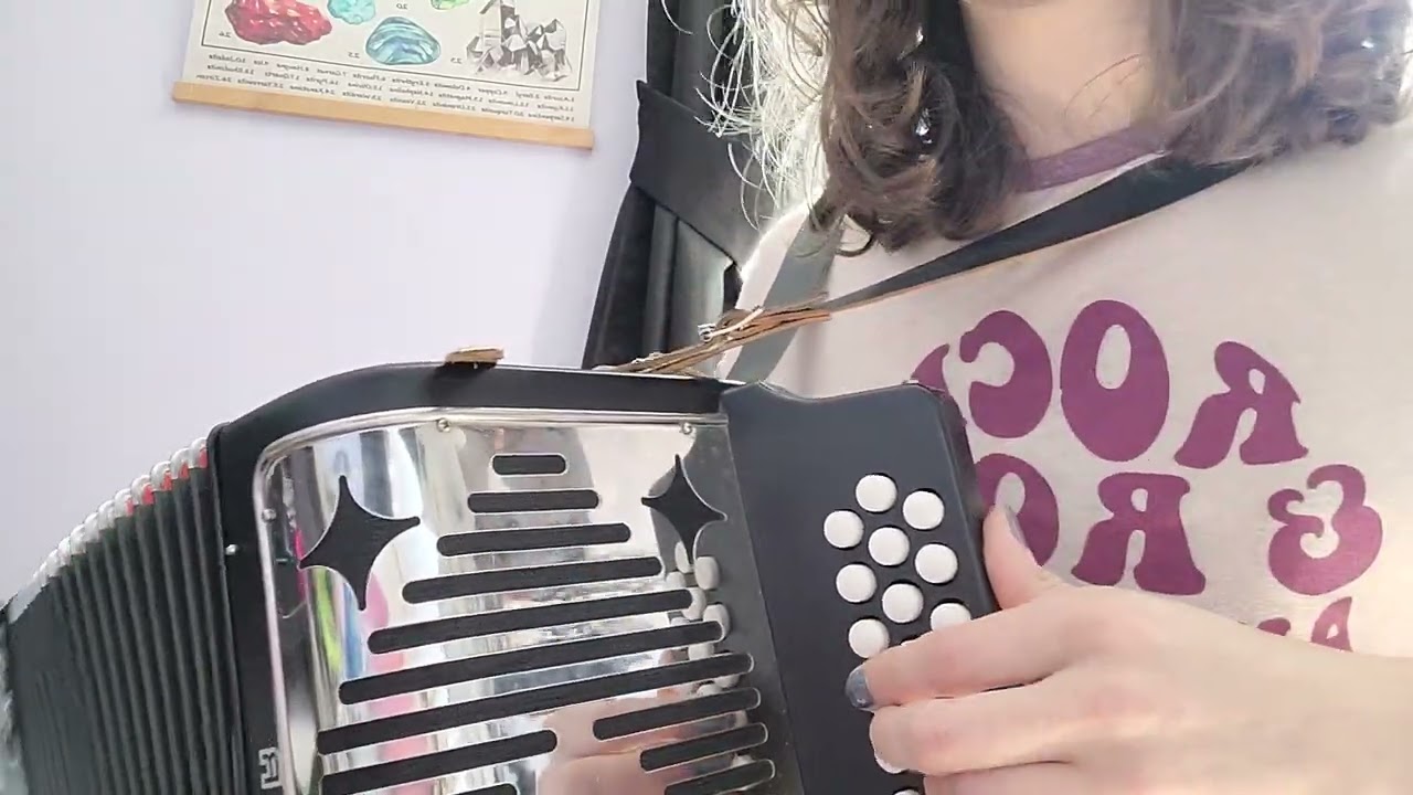 Punk Rock Girl by The Dead Milkmen Diatonic Accordion Cover practice.