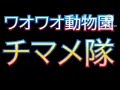 ワオワオ動物園