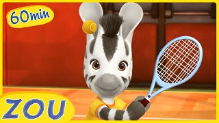 ZOU fait tous les sports | Compilation 1H | ZOU en français 🦓 | Dessins animés