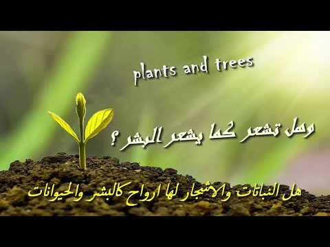 هل النباتات والاشجار لها ارواح وهل تشعر كما يشعر البشر امجد النظامى
