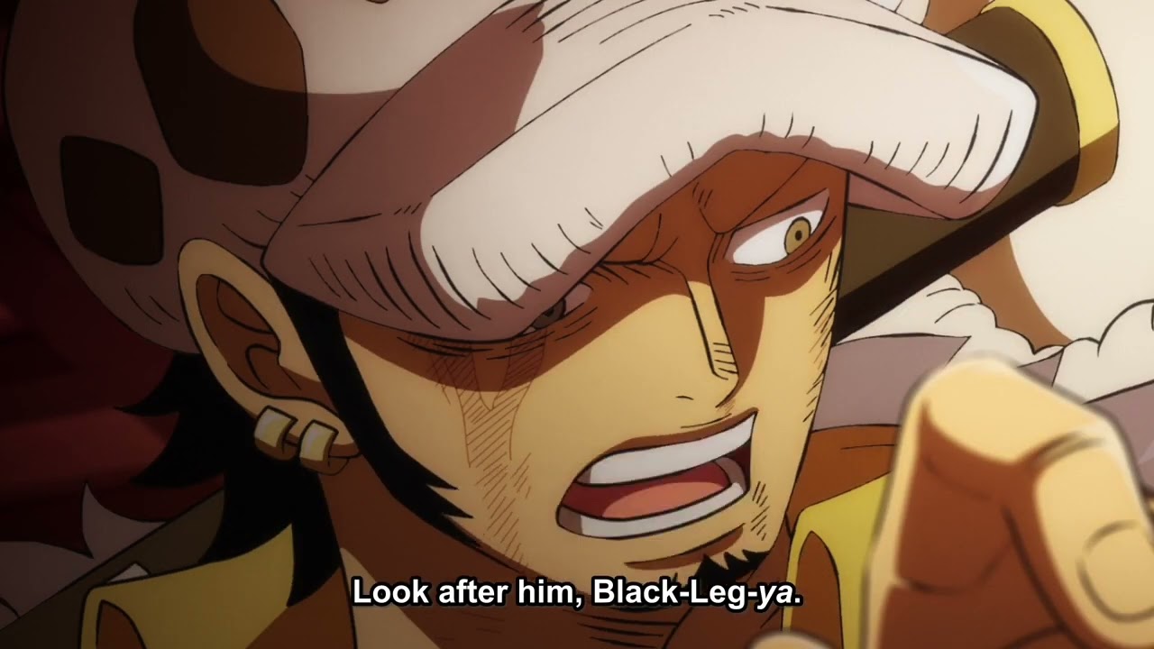 Reason why sanji carry wounded zoro scene One piece Episode 1033 English Sub