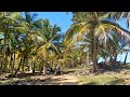 Quad Bike Ride in Dominican Republic Jungles