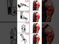 इस 4 Triceps workout को जरूर करें 100% Fast Result मिलेगा🔥💯✅ #shortsvideo #workout #fitness #shorts