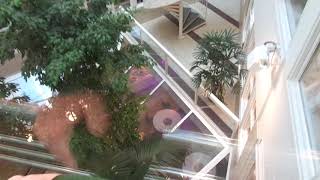 Very Nice 1990 Otis Europa 2001 Traction Scenic Elevators Lilla Bommen 5 B, Gothenburg, Sweden