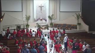 9:00 am Daily Mass (Thursday, May 7, 2026)