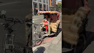 London Street Pedicab #shorts