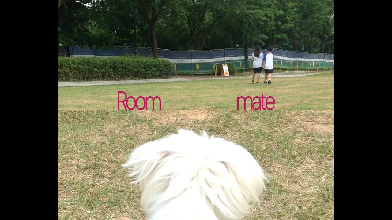 Watch soyaan - Roommate on YouTube Watch soyaan - Roommate on YouTube