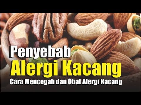 Video: Alergi Kacang Dan Anafilaksis Tertunda: Apa Yang Harus Diperhatikan