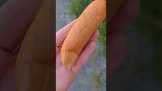 SŁABA POLSKA KIEŁBASA W NIEMCZECH #dlaciebie #food #pyszne #jedzenie #kiełbasa #test